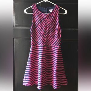 Pink and navy striped textured skater dress